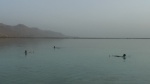 DeadSeaSwimming
