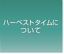 ハーベスト・タイムについて